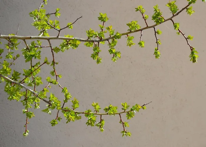 Guest house De Montana La Casa Grande Nogueruelas